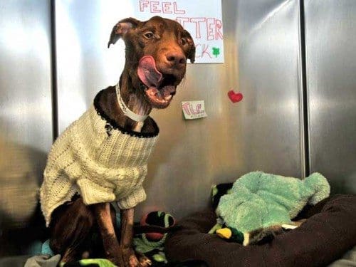 patrick-lip-smacking-good