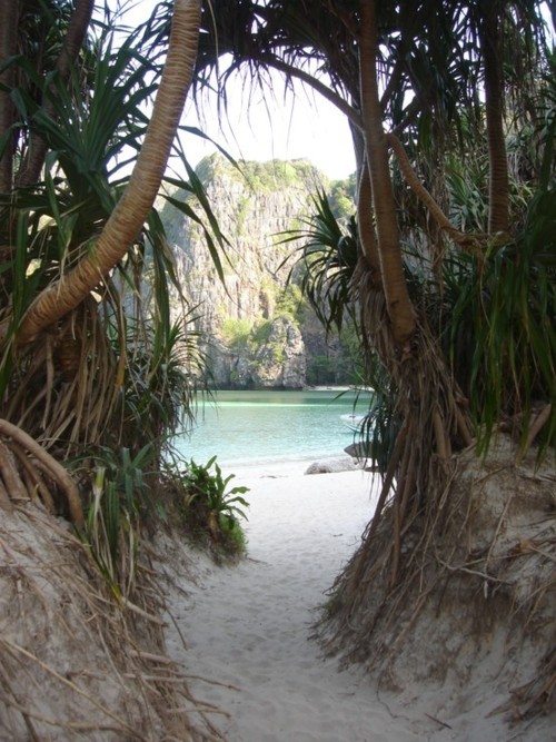 paradise