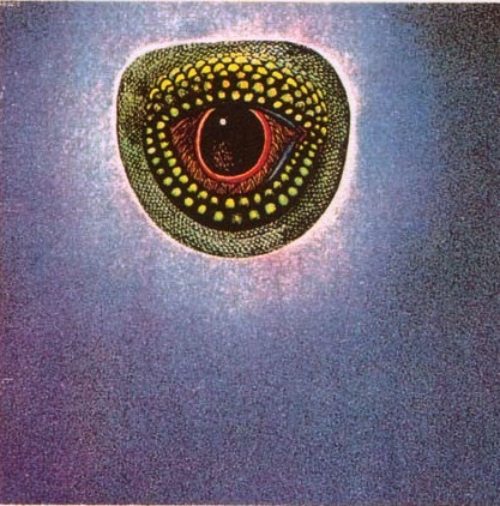 eye