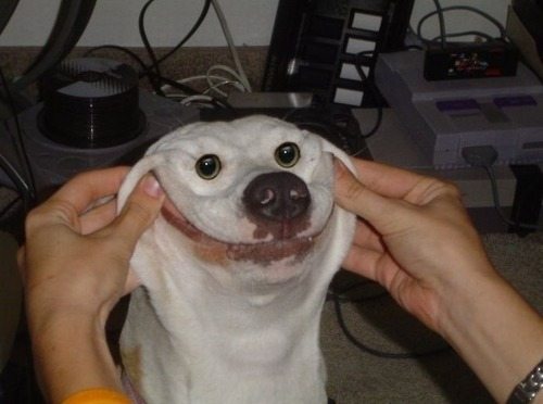 smile
