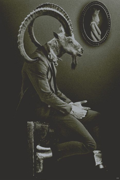 horns