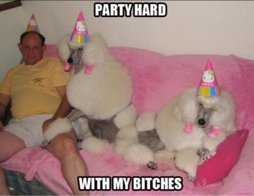 party party party-lets all get wasted