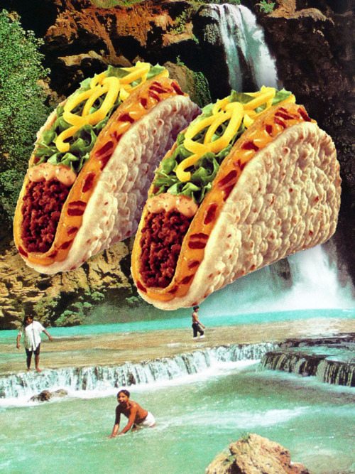 Taco Life