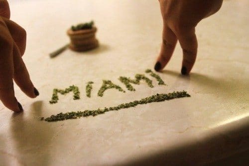 miami bud Miami Bud