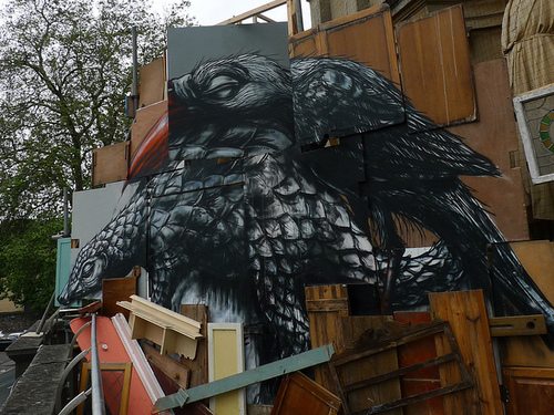 Roa