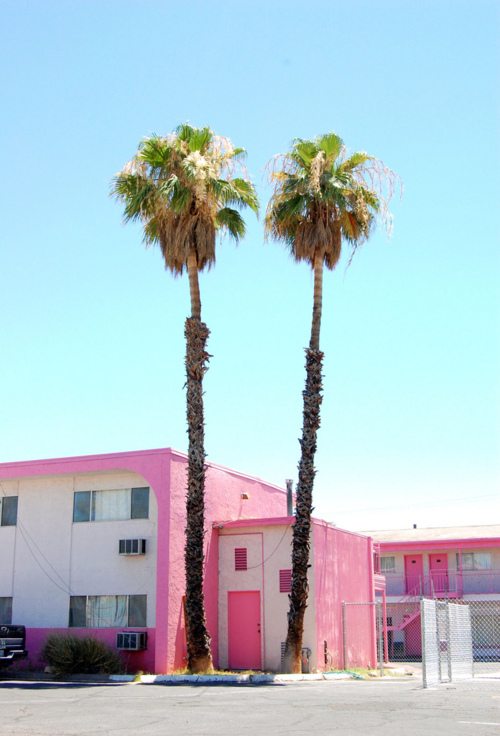 palms