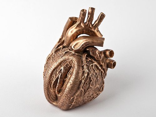 pussy heart