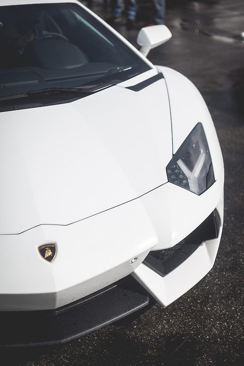 Aventador